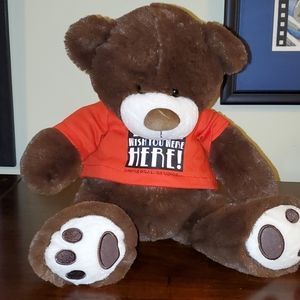 Super soft teddy bear
